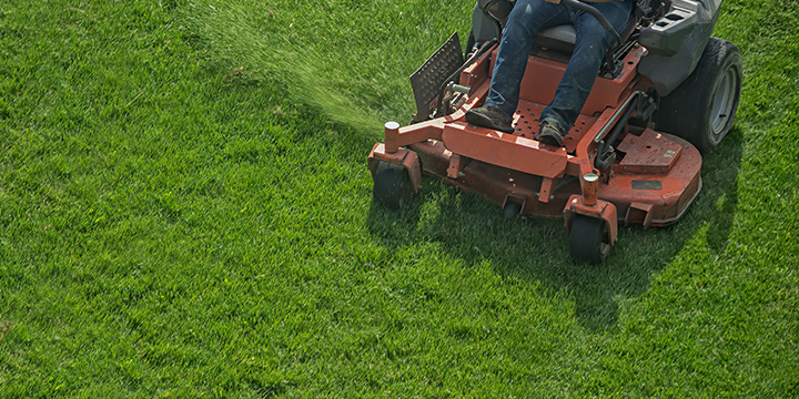 A healthy lawn is being mowed to maintain its pristine aesthetic and condition.