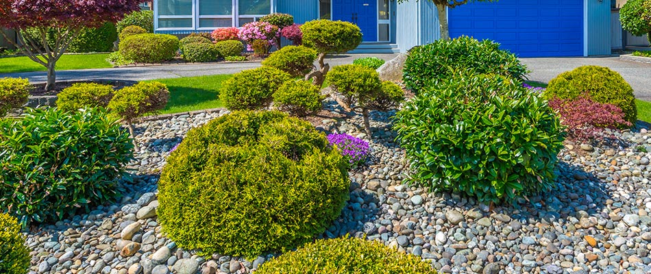 A beautiful landscape bed with rocks and shrubs in Wildwood, FL.