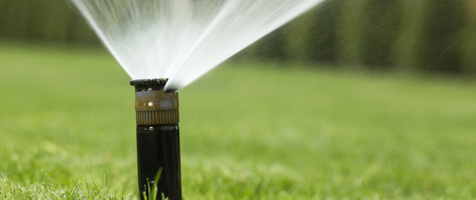 Sprinkler system using FertiGation to release fertilizer via your irrigation system.