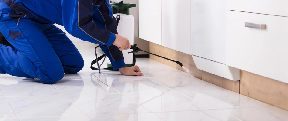 A technician servicing a home with insecticide treatment in Wildwood, FL.