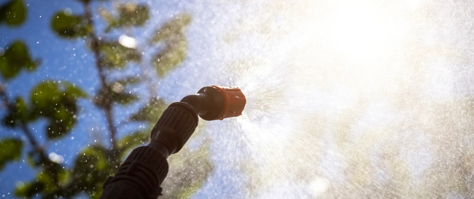 Technician fertilizing shrubs in landscape in Wildwood, FL.