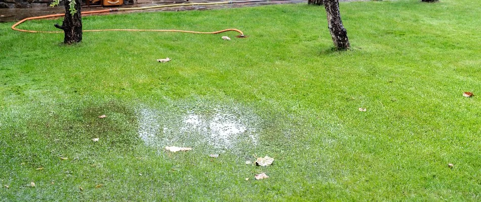 Water soaked lawn on a property in The Villages, FL.